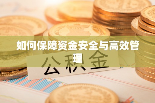 富里如何保障资金安全与高效管理