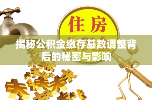 富里揭秘公积金缴存基数调整背后的秘密与影响