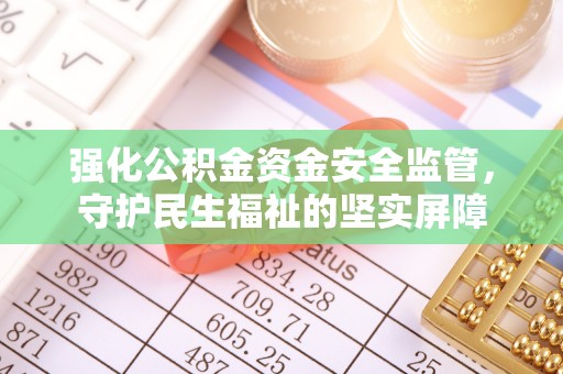 富里强化公积金资金安全监管，守护民生福祉的坚实屏障