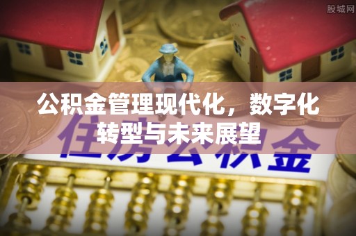 富里公积金管理现代化，数字化转型与未来展望