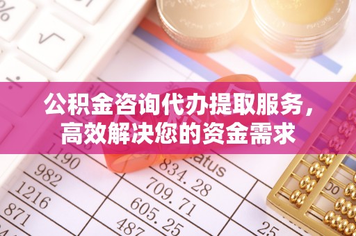 富里公积金咨询代办提取服务，高效解决您的资金需求