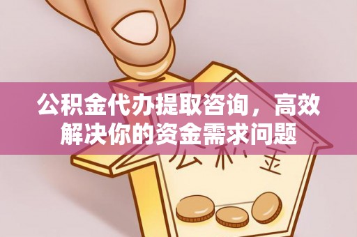富里公积金代办提取咨询，高效解决你的资金需求问题