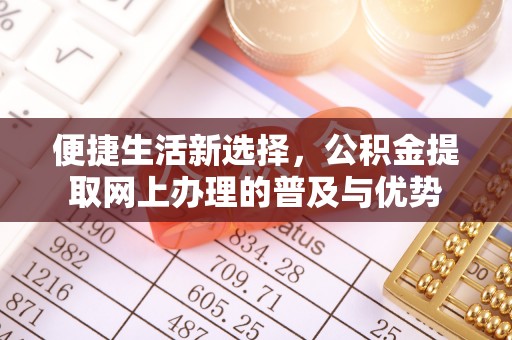 富里便捷生活新选择，公积金提取网上办理的普及与优势