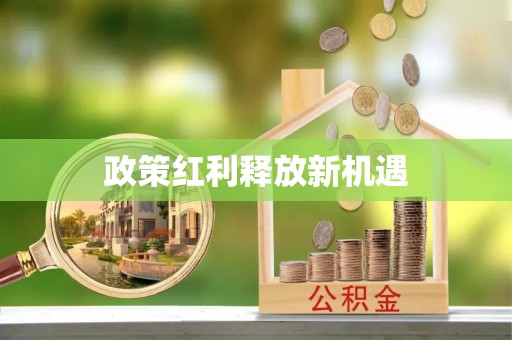 富里政策红利释放新机遇