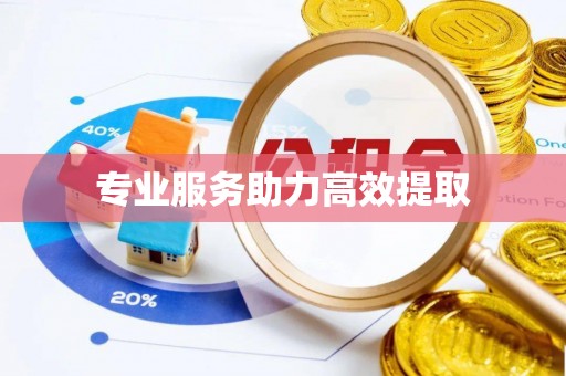 富里专业服务助力高效提取